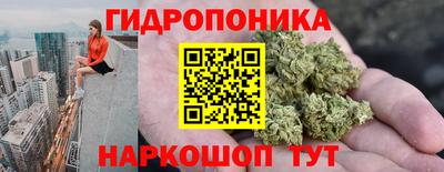 сатива Бийск