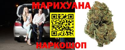 сатива Бийск