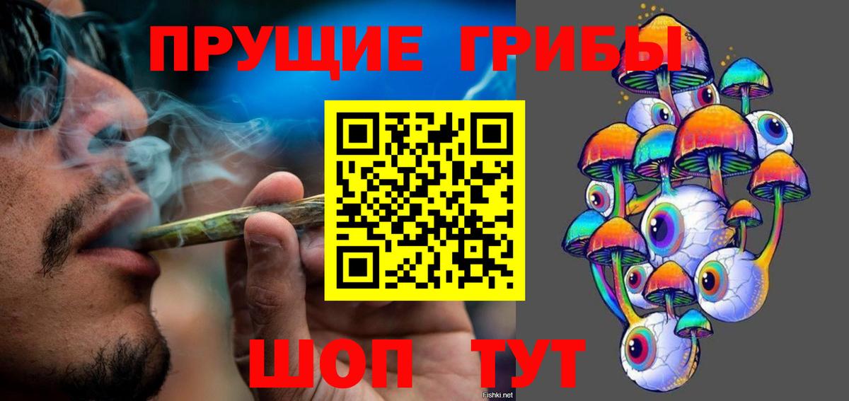 Псилоцибиновые грибы MAGIC MUSHROOMS  Псилоцибиновые грибы Cubensis  наркошоп  Городец  Вход с VPN 